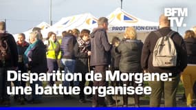 Disparition de Morgane: une battue organisée près de Guingamp ce vendredi 