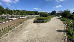 Un pollinarium réunissant les espèces végétales les plus allergisantes d'Île-de-France a ouvert au Parc Floral de Paris