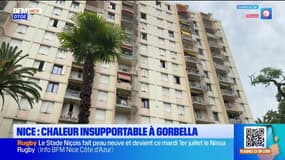 "Il fait 29,7 °C dans la chambre": à Nice Nord, la canicule rend le quotidien difficile
