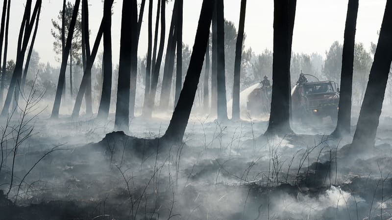 Plus de 550 hectares de pinèdes sont parties en fumée, en Gironde.