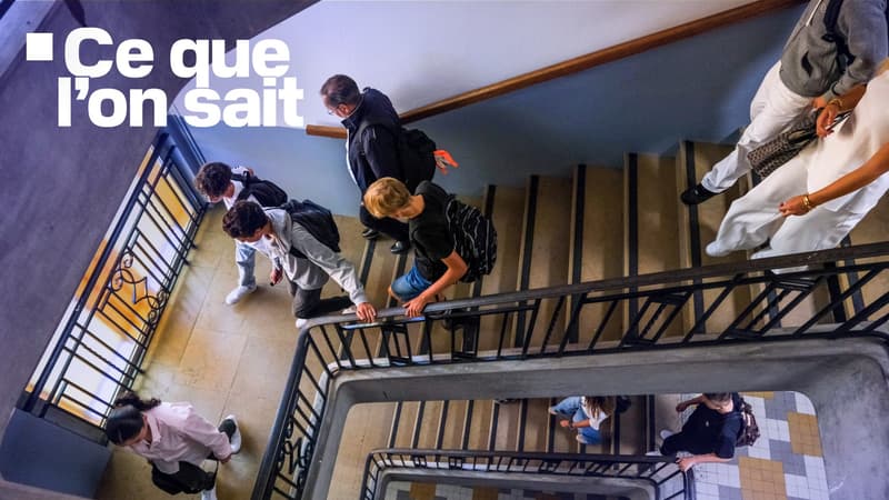 Harcèlement scolaire, enquêtes ouvertes... Ce que l'on sait du suicide d'une lycéenne en Seine-et-Marne