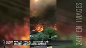 En Turquie, des feux de forêts menacent des habitations près d'Antalya