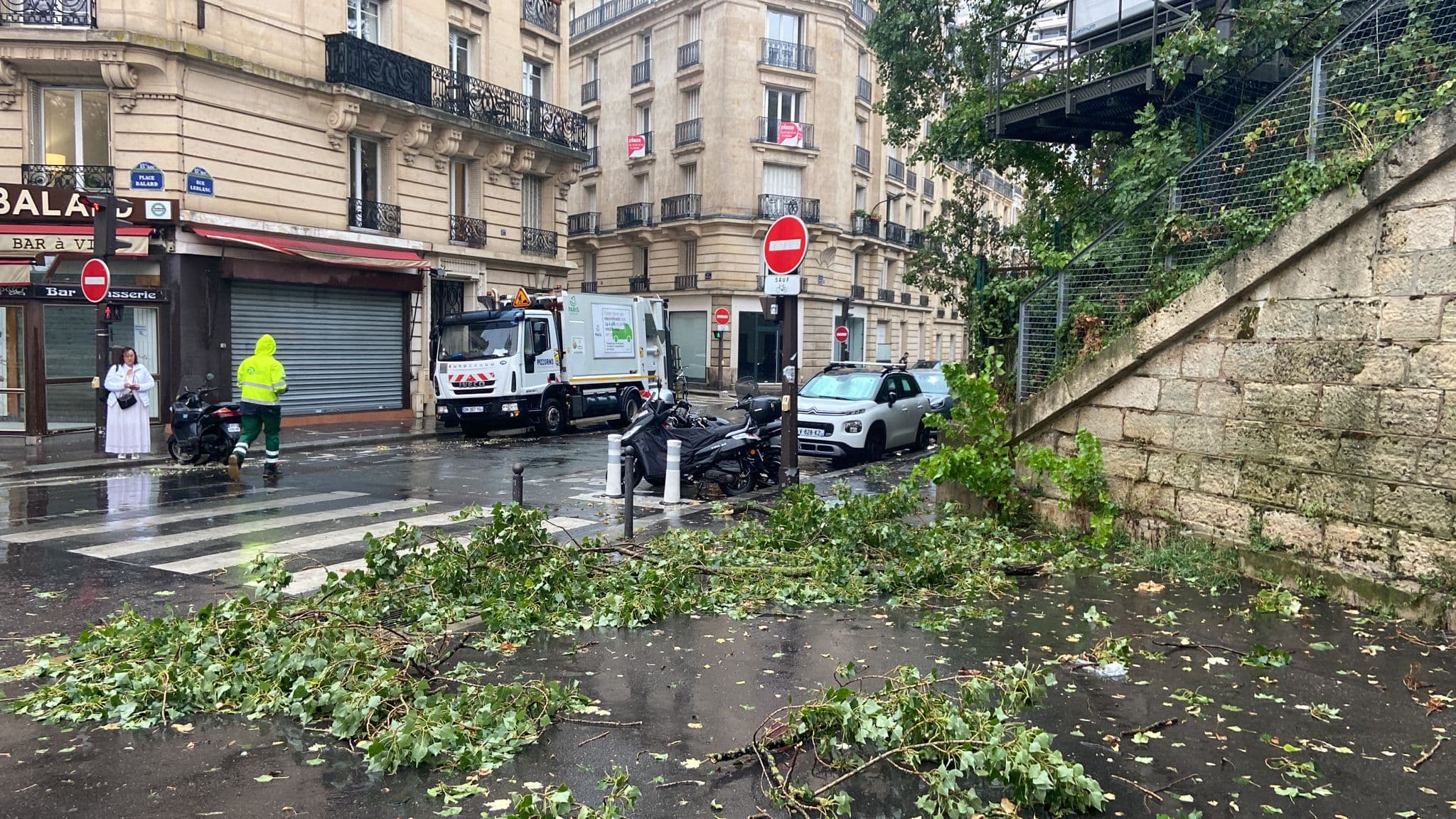 Des branches d'arbres sont tombées au sol en conséquence des fortes pluies.