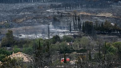 Un véhicule de pompiers devant des maisons dévastées par un incendie près de Fontjoncouse, dans l'Aude, le 6 août 2025.