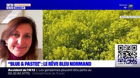 "Blue & Pastel": le rêve bleu normand