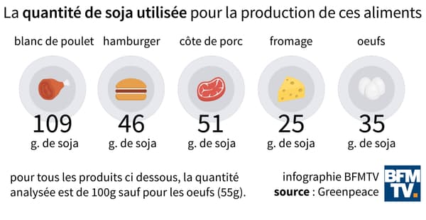 La quantité de soja nécessaire pour produire certains aliments du quotidien. La quantité de soja nécessaire pour produire certains aliments du quotidien.