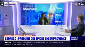 Marseille Business : CEPASCO, Produire des épices bio en Provence.