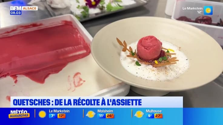 Le journal de 8h du lundi 25 août 2025 - Quetsches : de la récolte à l'assiette