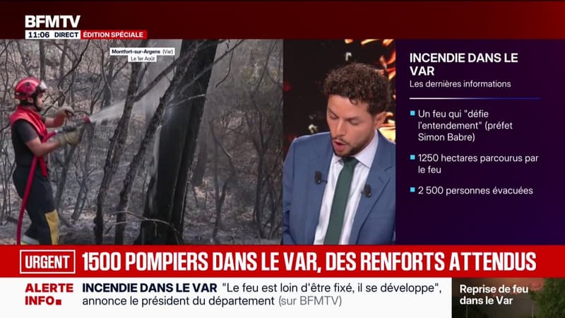 Incendie dans le Var: quels sont les moyens mobilisés face aux flammes?