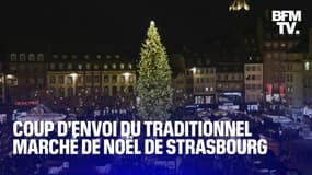  "C’est la magie de Noël"  L’illumination du sapin de Noël de Strasbourg marque le coup d’envoi du traditionnel marché de Noël 