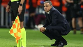 Luis Enrique lors du match de Ligue des champions entre le PSG et les PSV Eindhoven - le 22/10/2024