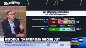 Dominique Chargé (La Coopération Agricole) : Les agriculteurs dans la rue le 26 septembre - 24/09