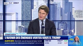 L'avenir des énergies vertes sous D. Trump - 28/11