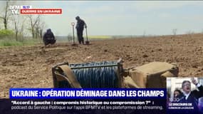 Ukraine: opération déminage dans les champs