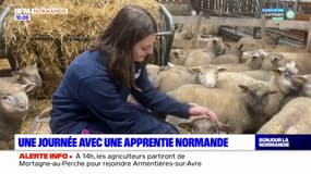 Une journée avec une apprentie normande