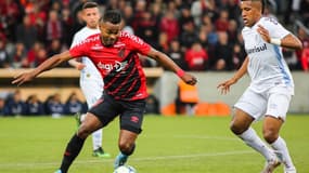 Paranaense