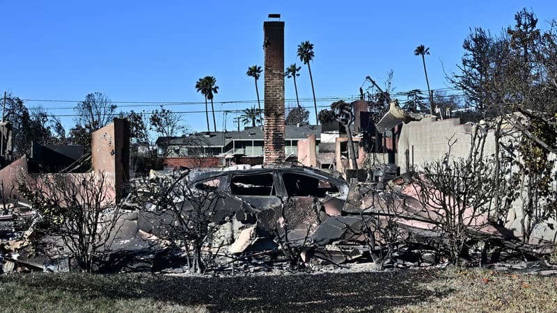 Incendies à Los Angeles: une femme retrouve son alliance de mariage dans les cendres de sa maison brûlée