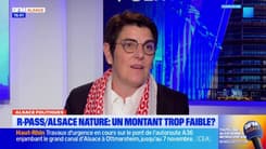 R-Pass: Brigitte Kempf, co-présidente de la Fédération Nationale des Transports Routiers, regrette "une taxe supplémentaire"