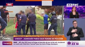 Chessy : la compagne d'un policier agressée