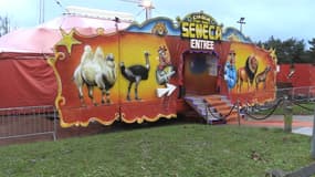 Le cirque Seneca, installé à Mont-Saint-Aignan, a été dégradé samedi.
