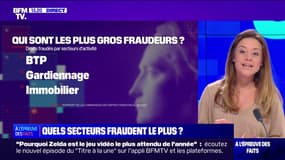 LA VÉRIF' - Qui sont les plus gros fraudeurs fiscaux?