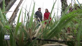 Le succès des vins alsaciens au Japon