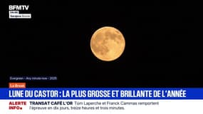 Le break du jeudi 6 novembre