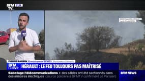 Incendie dans l'Hérault : 55 hectares brûlés - 29/07