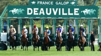 Les pronos hippiques du 14 août 2022