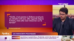 Cécile Duflot : le grand come-back ? 