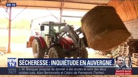 "Économiquement parlant, ça va être catastrophique." Les agriculteurs auvergnats font face à la sécheresse