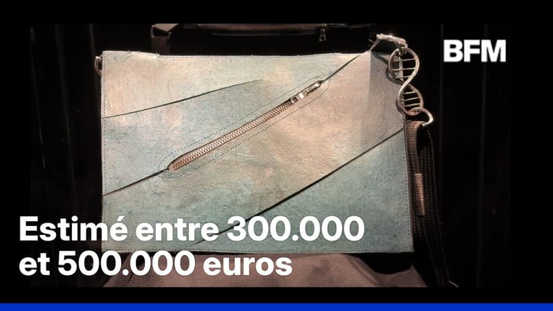 Un sac conçu en "peau de Tyrannosaurus Rex" vendu 