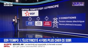 LES ÉCLAIREURS - Pourquoi les abonnés "Tempo" d'EDF vont payer 4 fois plus cher leur électricité le 31 décembre