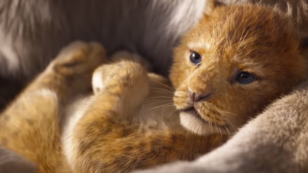 Le Roi Lion