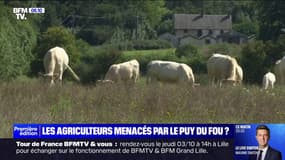 Vendée: le Puy du Fou rachète 400 hectares de terres agricoles, la Confédération paysanne dénonce un "accaparement excessif" 
