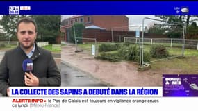 La collecte des sapins a débuté dans le Nord-Pas-de-Calais