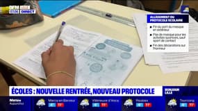 Ecoles: une rentrée scolaire avec un protoEcoles: une rentrée scolaire avec un protocole allégé à Lille ce lundi cole allégé à Lille ce lundi 