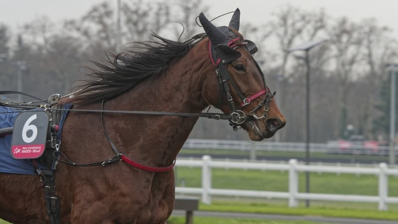 Délia du Pommereux remporte le Qualif 5 au Prix d'Amérique