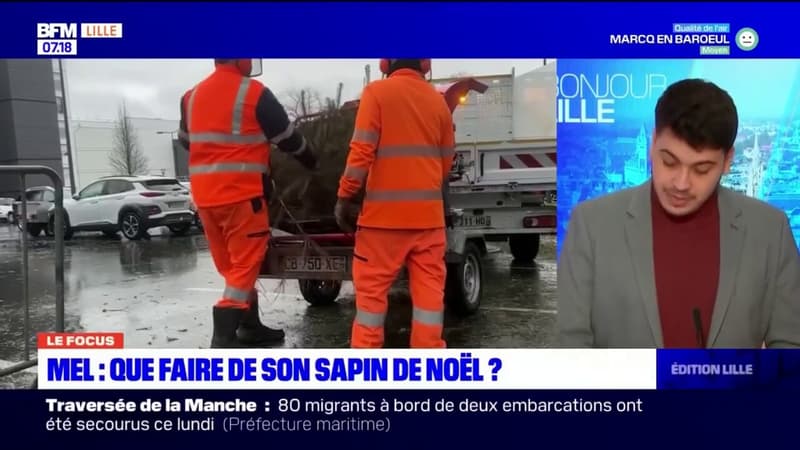 Métropole de Lille: que faire de son sapin de noël?