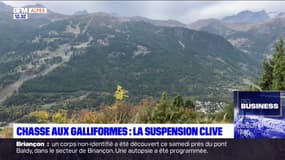 Alpes du Sud: le tribunal administratif de Marseille a suspendu la chasse des tétras lyre et Bartavelle