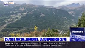 Alpes du Sud: le tribunal administratif de Marseille a suspendu la chasse des tétras lyre et Bartavelle