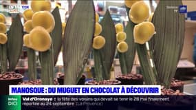 Alpes-de-Haute-Provence : des brins de muguet en chocolat à Manosque