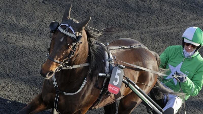 Hussard du Landret remporte le Prix de Bretagne - Amérique Races PMU Q1