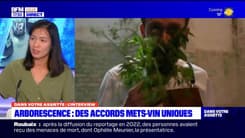 Dans votre assiette du jeudi 16 mars 2023 - Arborescence : le nouveau restaurant étoilé