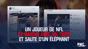 Un joueur de NFL se baigne avec un tigre et saute d'un éléphant