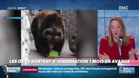 Objectif Terre : Les ours sortent d'hibernation un mois en avance - 12/03