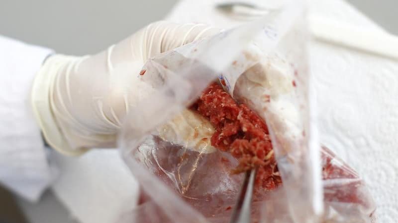 De la viande de cheval a été détectée par les services vétérinaires du Vaucluse sur un lot de 320 tonnes de viande étiquetée "pur boeuf" et destinée à la préparation de plats cuisinés. /Photo d'archives/REUTERS/Michaela Rehle