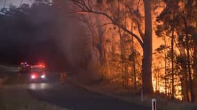 Incendies en Australie: 6 morts et 3 millions d'hectares brûlés