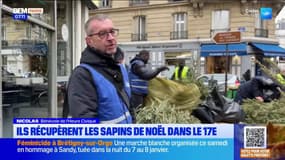 Paris: des bénévoles de "l'heure civique" ramassent les vieux sapins de Noël