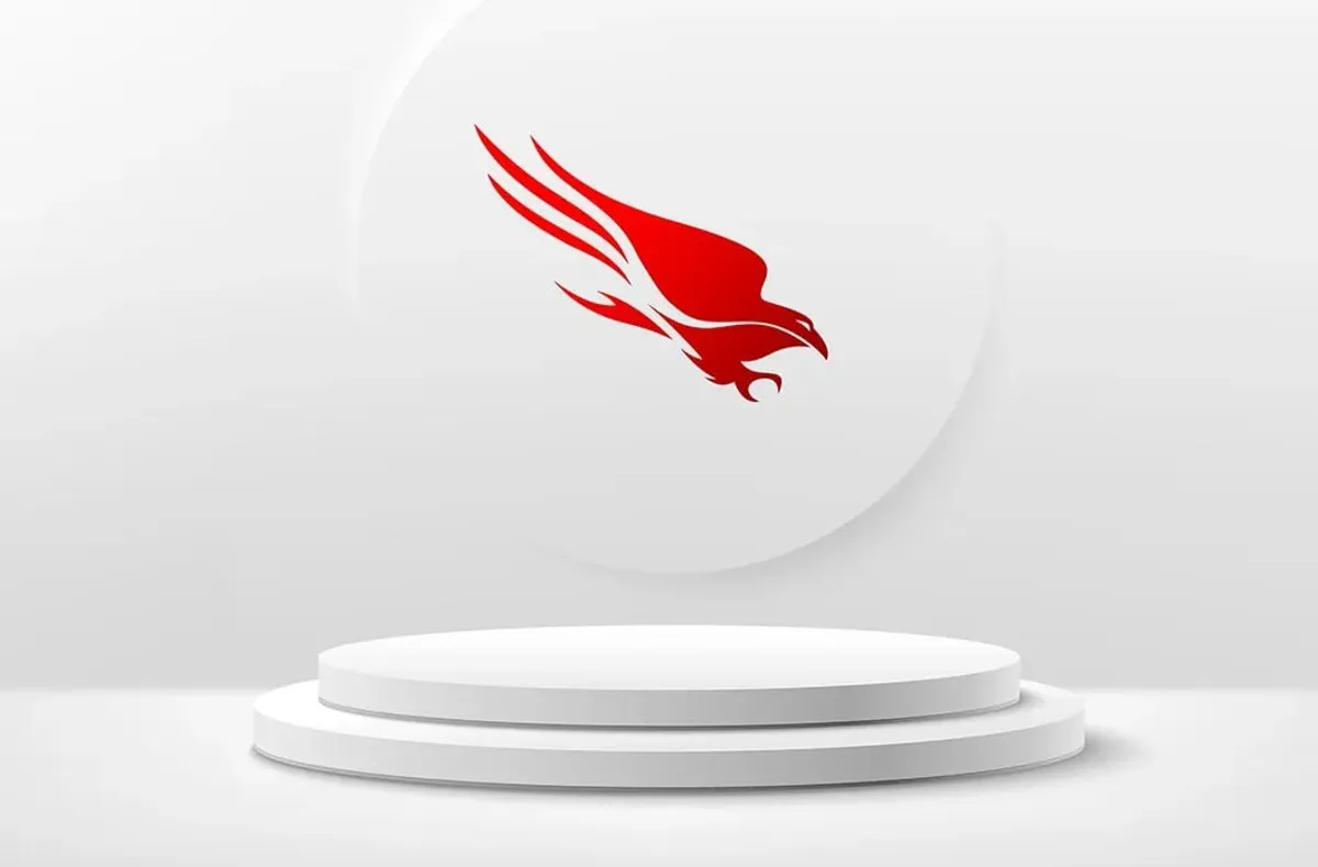 placeholder video